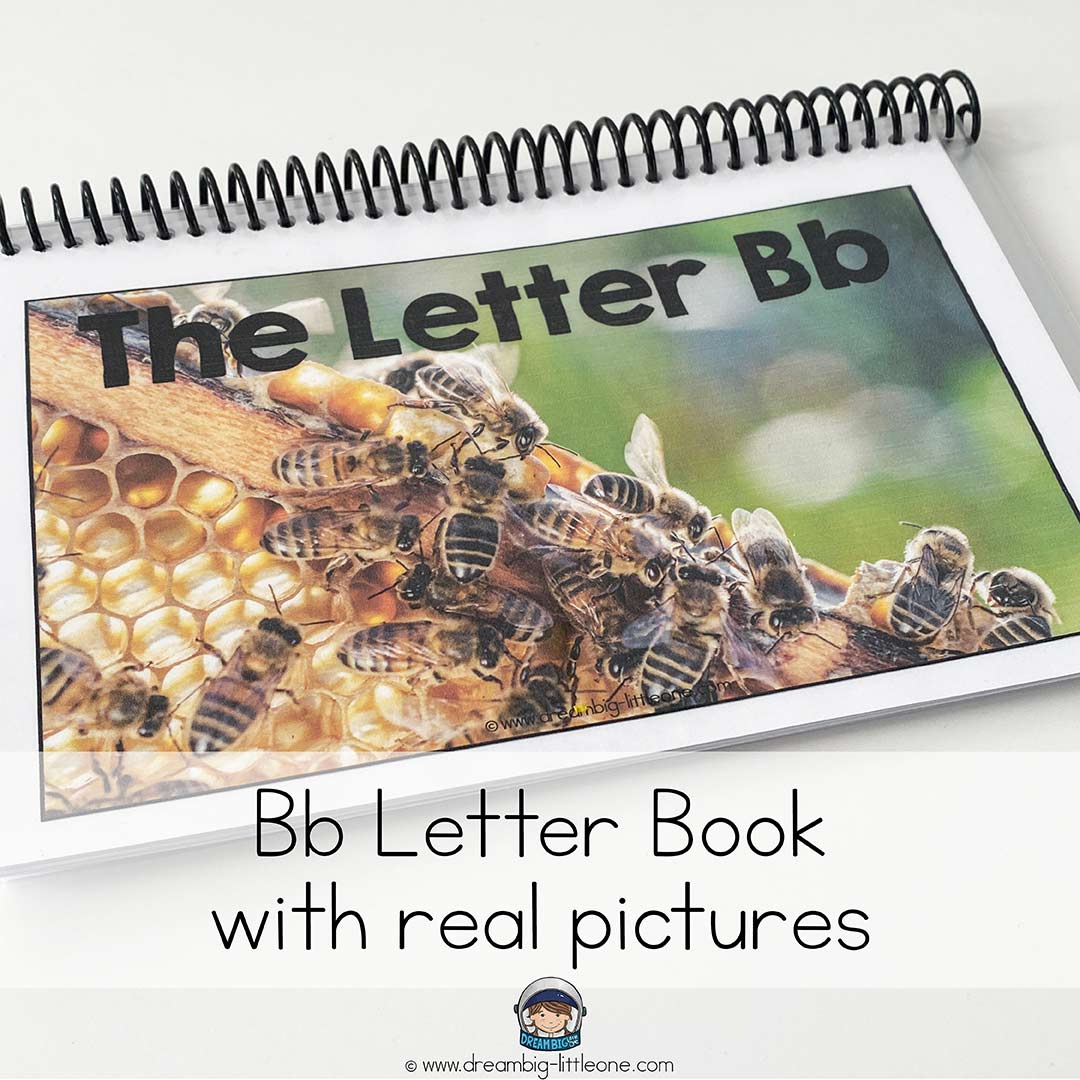 The Letter B Worksheets